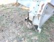 VW Polo jobb h�ts� negyed 