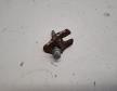 Peugeot 5008 porlaszt� leszor�t� 