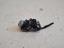 Ioniq 5 2021- els� pdc