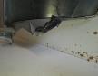 Renault Modus jobb els� s�rv�d� (8200098310)
