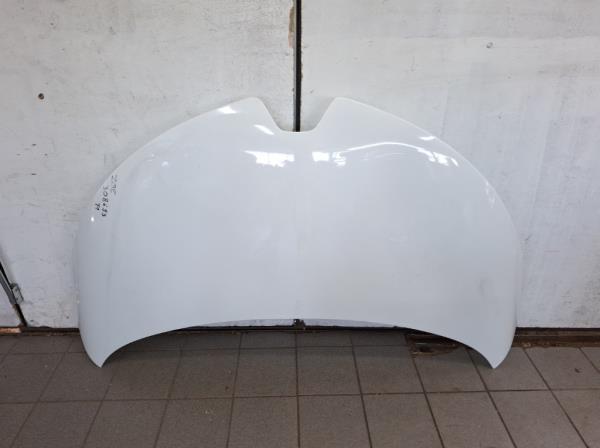 Renault Zoe motorh�ztet�  foto