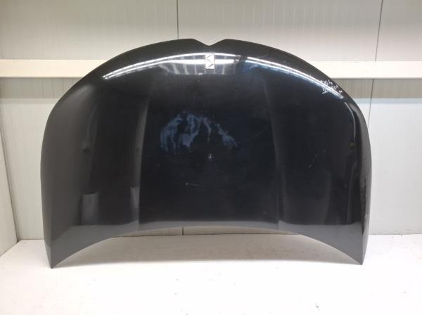 Citroen DS4 motorh�ztet�  foto