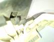 Mercedes A-oszt�ly W169 bal h�ts� ajt�z�r (1697302135)