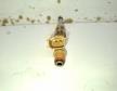 Toyota Prius Plus befecskendez� (232500T030)