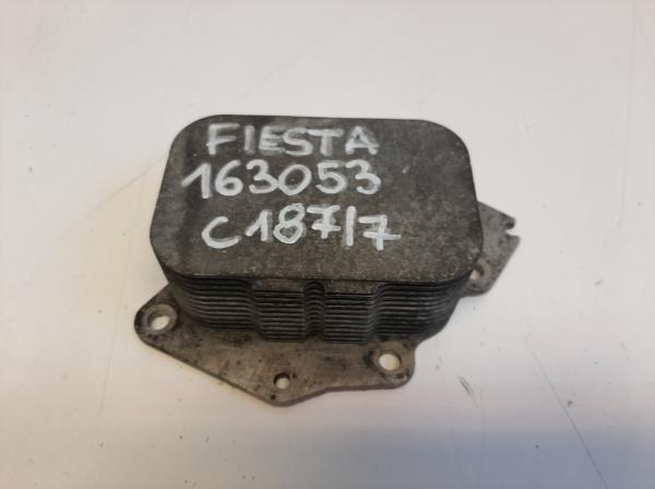 Ford Fiesta motorolajht  foto